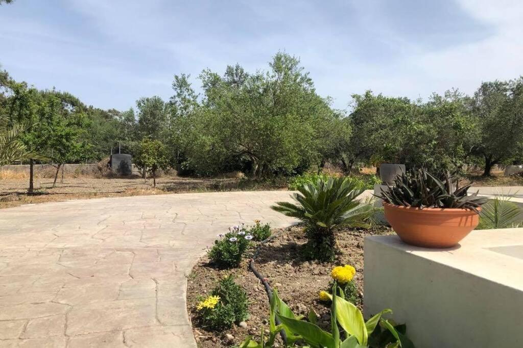 Fiore Di Rodi - Private Pool, Jacuzzi And Barbecue Ialysos  Exterior photo